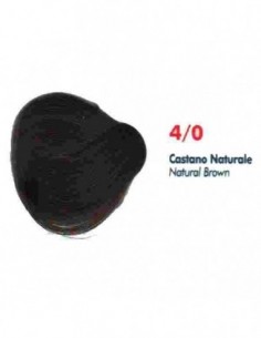 4/0 CASTANO NATURALE SA 2