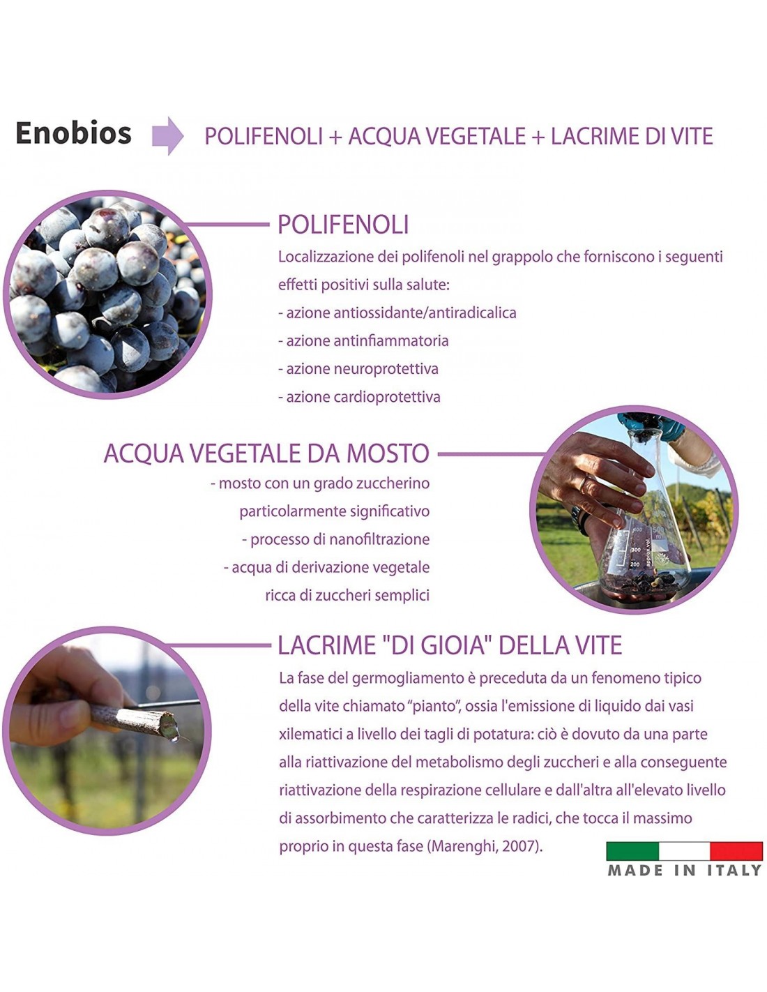 LUVA Scrub Corpo Con Olio di Cocco Noccioli di Albicocca Semi di Vinacciolo ed Estratto di Uva Rossa 200ml Made in Italy ItaliaCosmesi LUVA Scrub Corpo Con Olio di Cocco Noccioli di Albicocca Semi di Vinacciolo ed Estratto di Uva Rossa 200ml Made in Italy