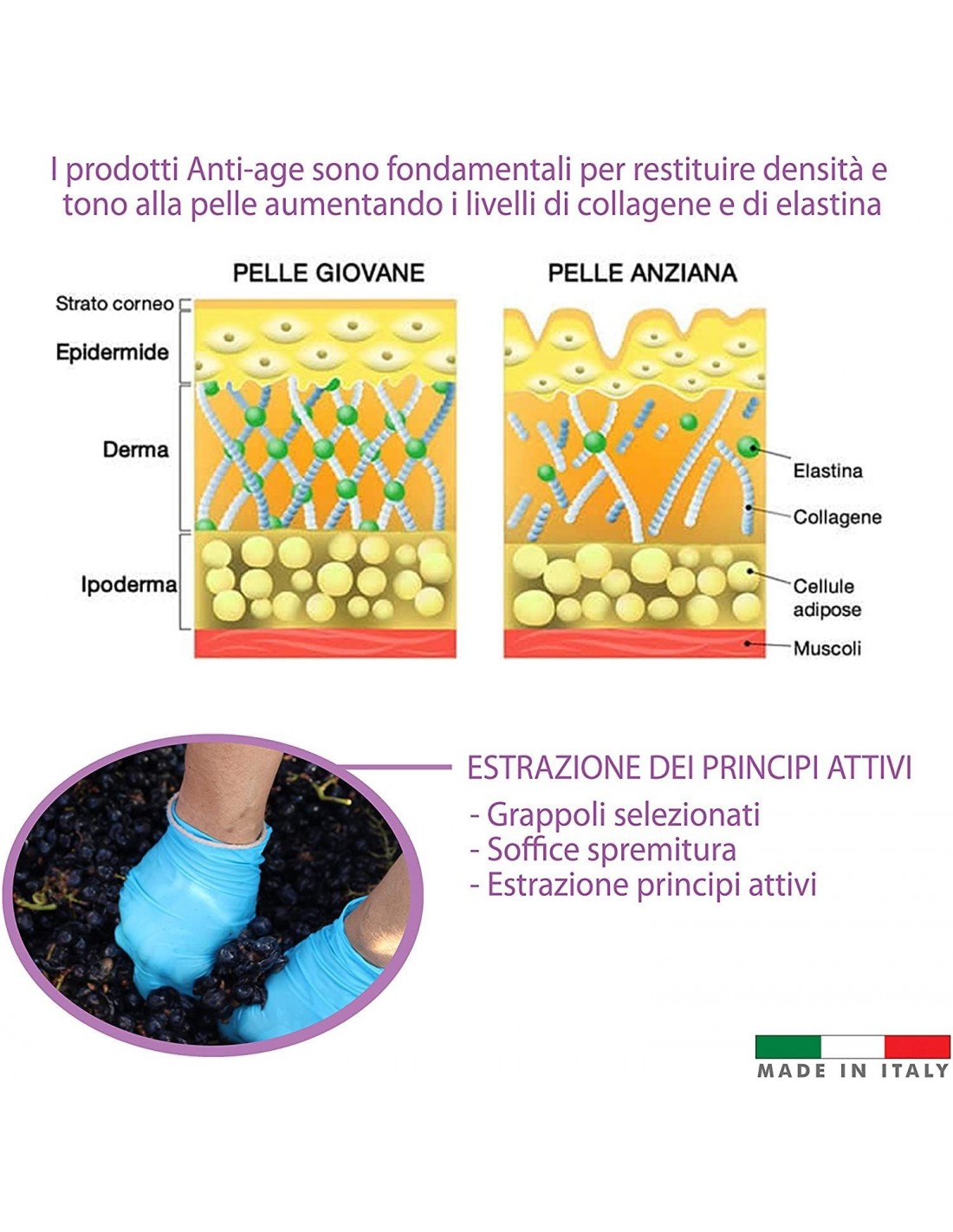 LUVA Crema Viso Idratante Con Olio di Jojoba Estratto di Uva Rossa ed Estratto di Aloe Vera 50ml Made In Italy