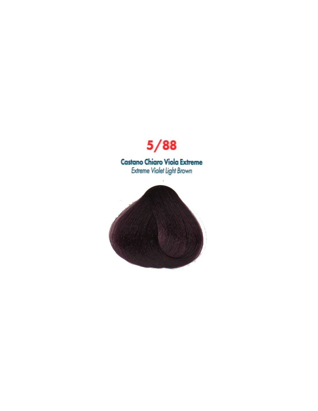 5/88 CASTANO CHIARO VIOLA
